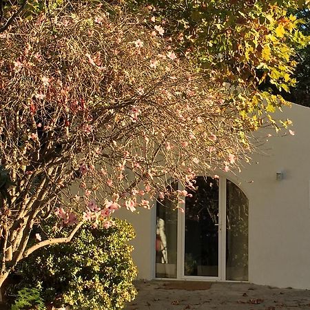 Casa Do Hibisco Villa Sao Joao do Estoril Ngoại thất bức ảnh
