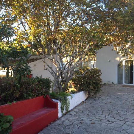 Casa Do Hibisco Villa Sao Joao do Estoril Ngoại thất bức ảnh