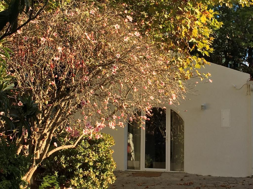 Casa Do Hibisco Villa Sao Joao do Estoril Ngoại thất bức ảnh