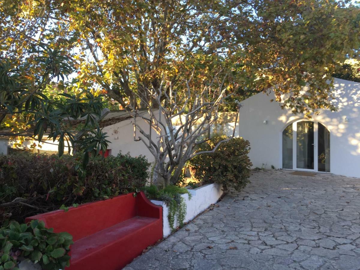 Casa Do Hibisco Villa Sao Joao do Estoril Ngoại thất bức ảnh